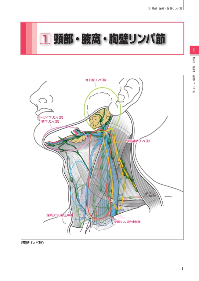 画像診断のためのリンパ節カラーアトラス