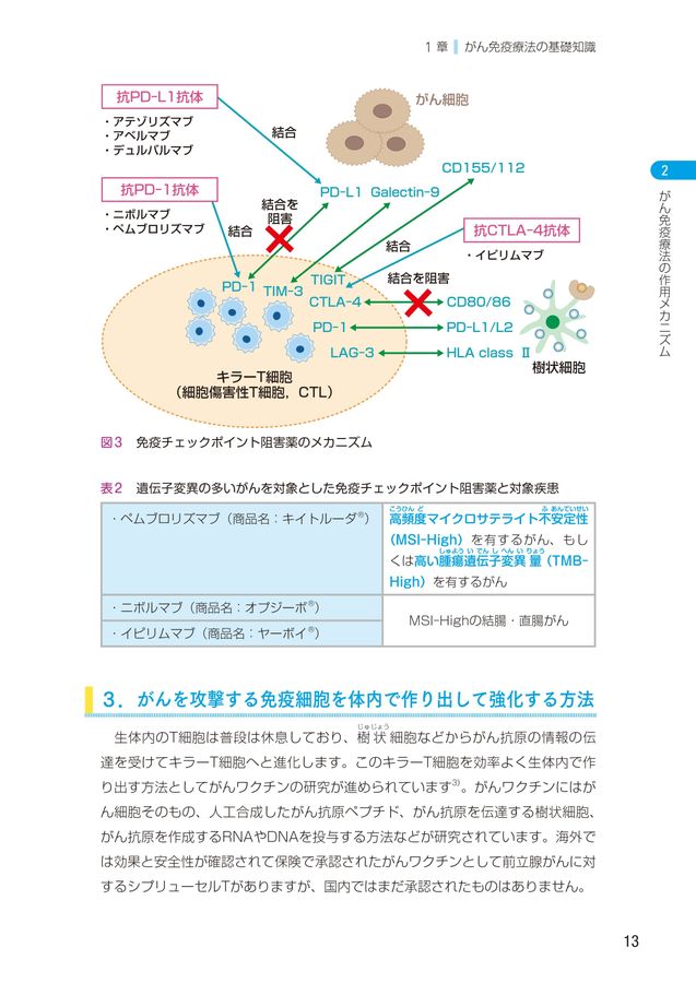 マクロファージの殺細胞作用を高める新規がん治療標的タンパク質