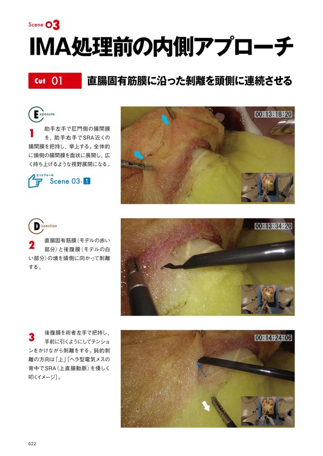 膜・筋膜 人体の張力ネットワーク 最新知見と治療アプローチ 人体の張力ネットワーク 膜・筋膜―最新知見と治療アプローチ
