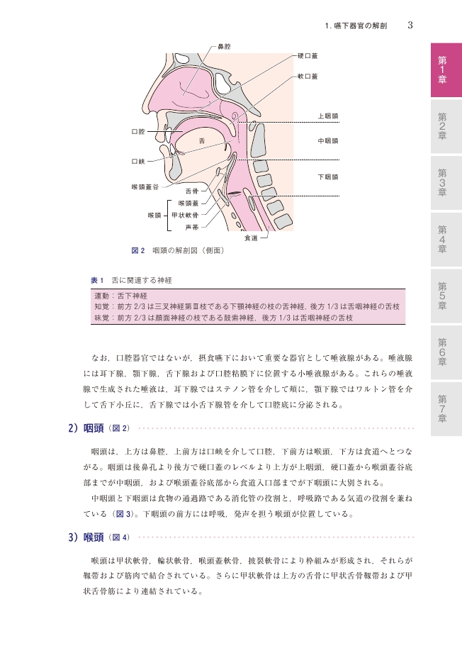動画で学ぶ嚥下内視鏡検査（VE）