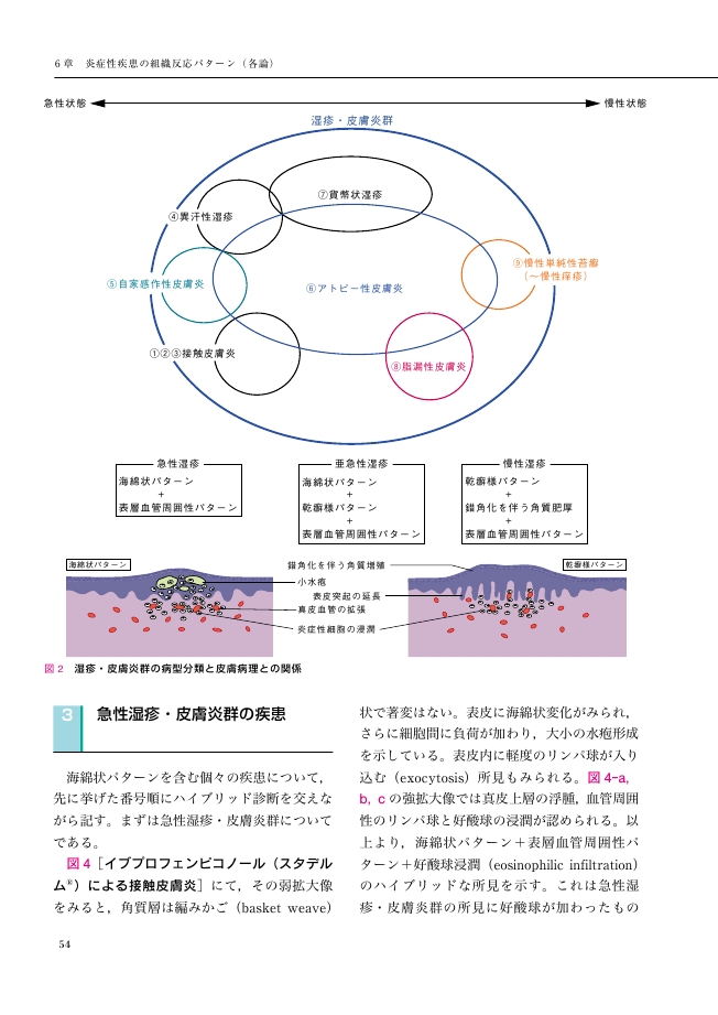 実践皮膚病理診断 実践皮膚病理診断