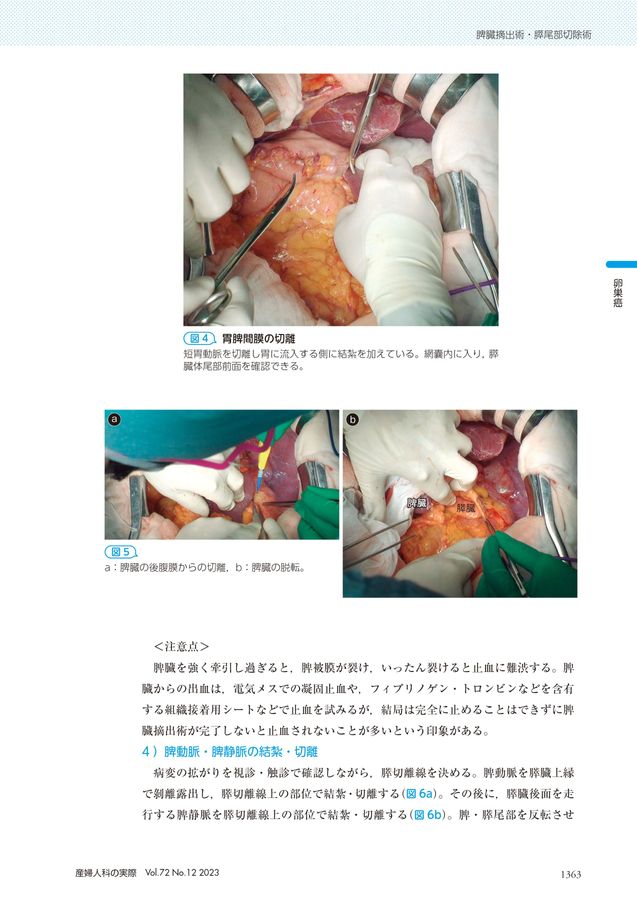 売れ筋がひ贈り物！ 040252023115T 医学一般